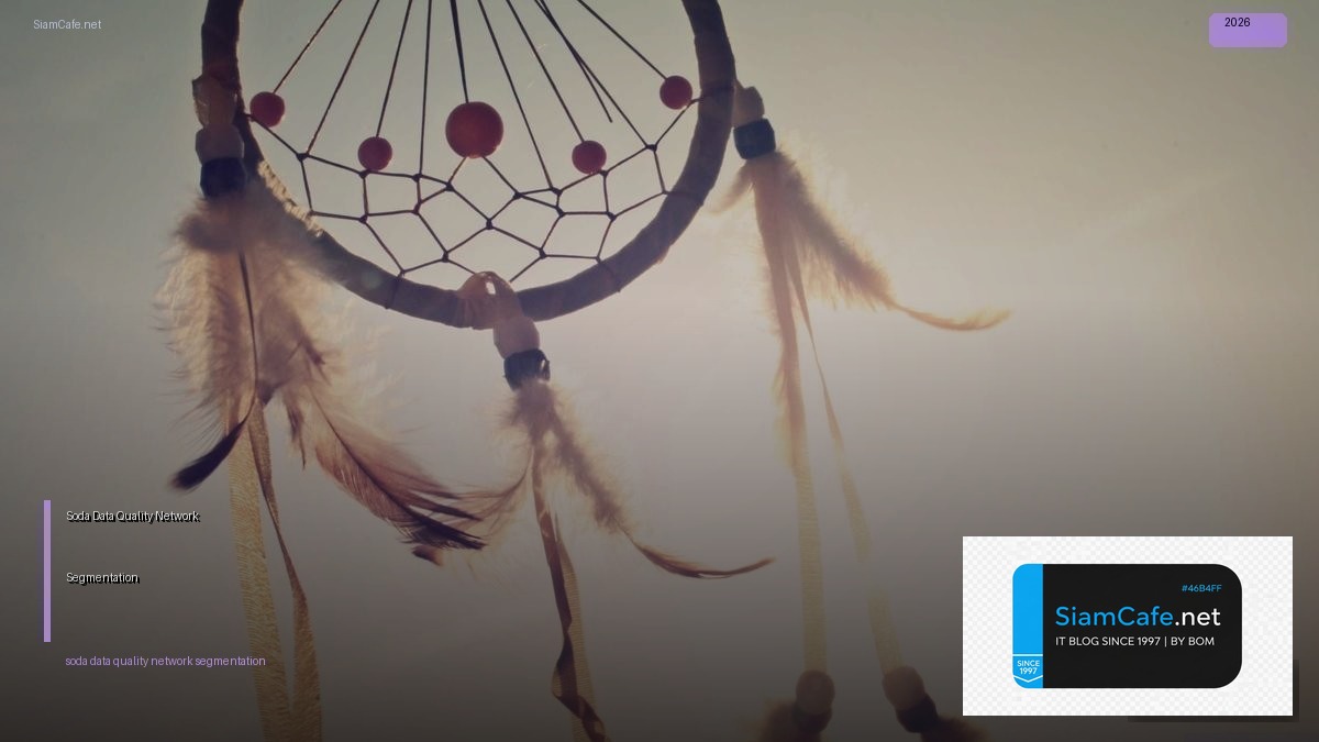 soda data quality network segmentation