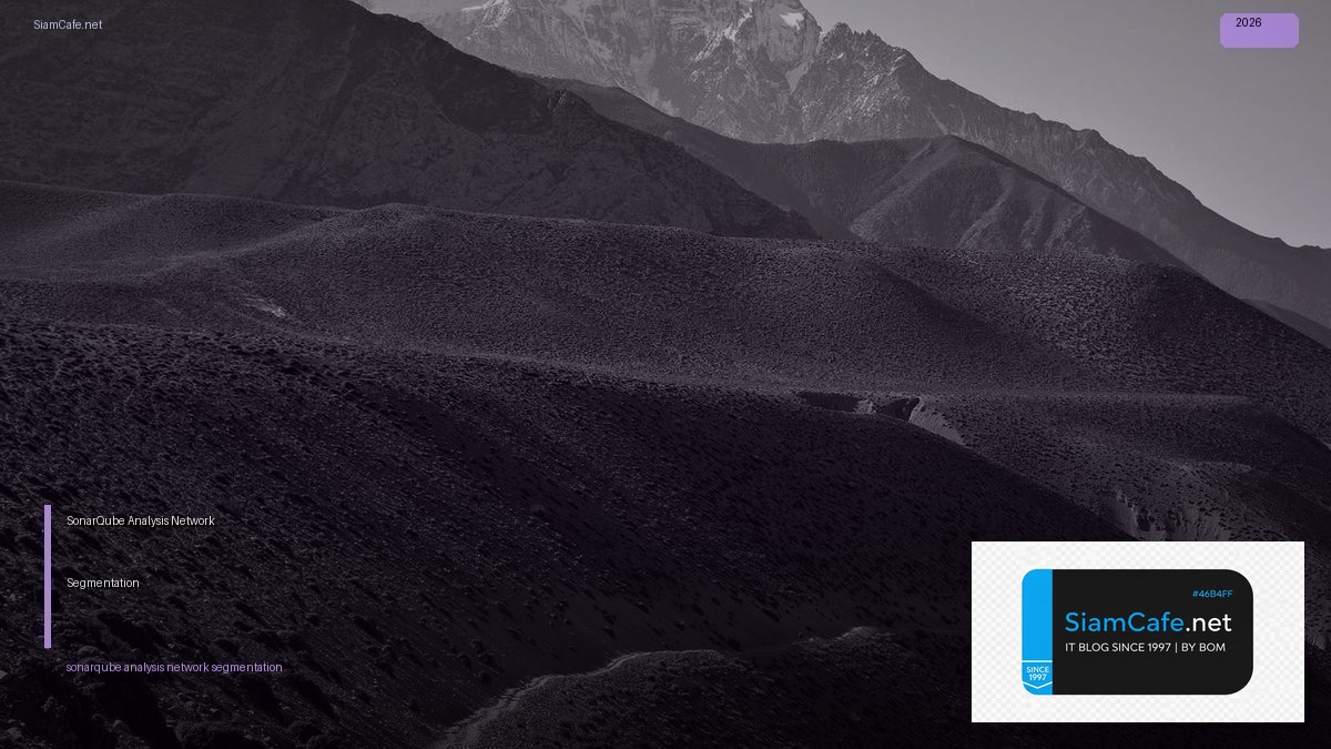 sonarqube analysis network segmentation