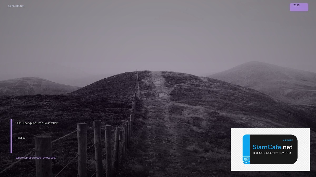 sops encryption code review best practice