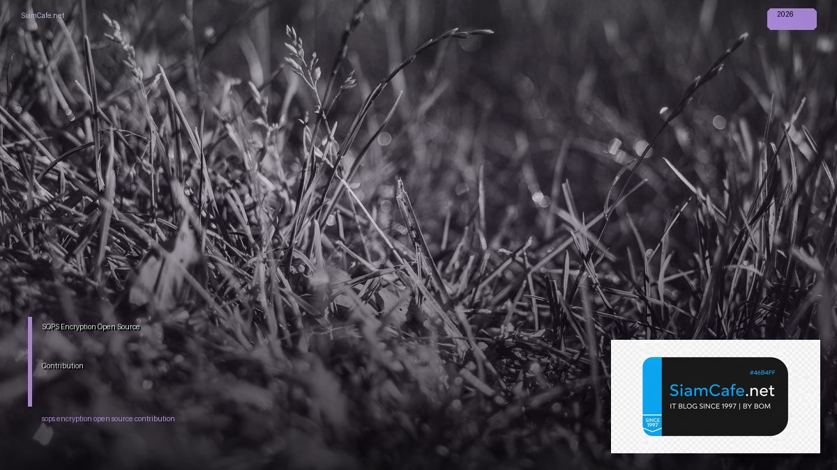 sops encryption open source contribution