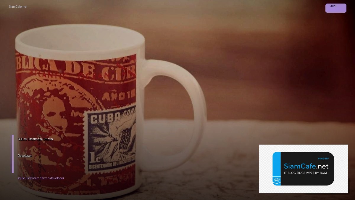 sqlite litestream citizen developer