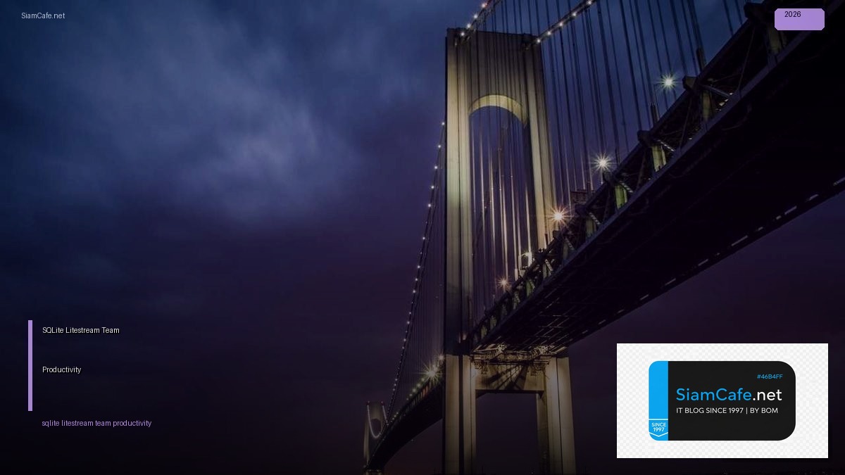 sqlite litestream team productivity