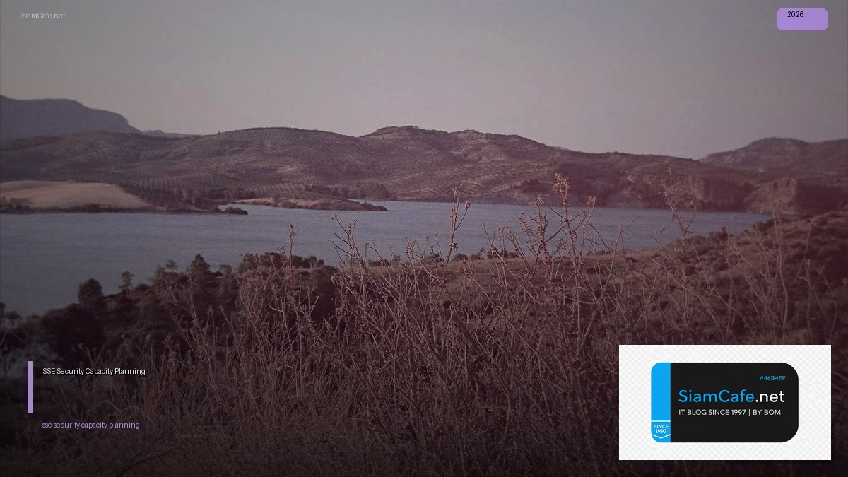 SSE Security Capacity Planning — วางแผนทรัพยากรความปลอดภัยเครือข่าย | SiamCafe Blog
