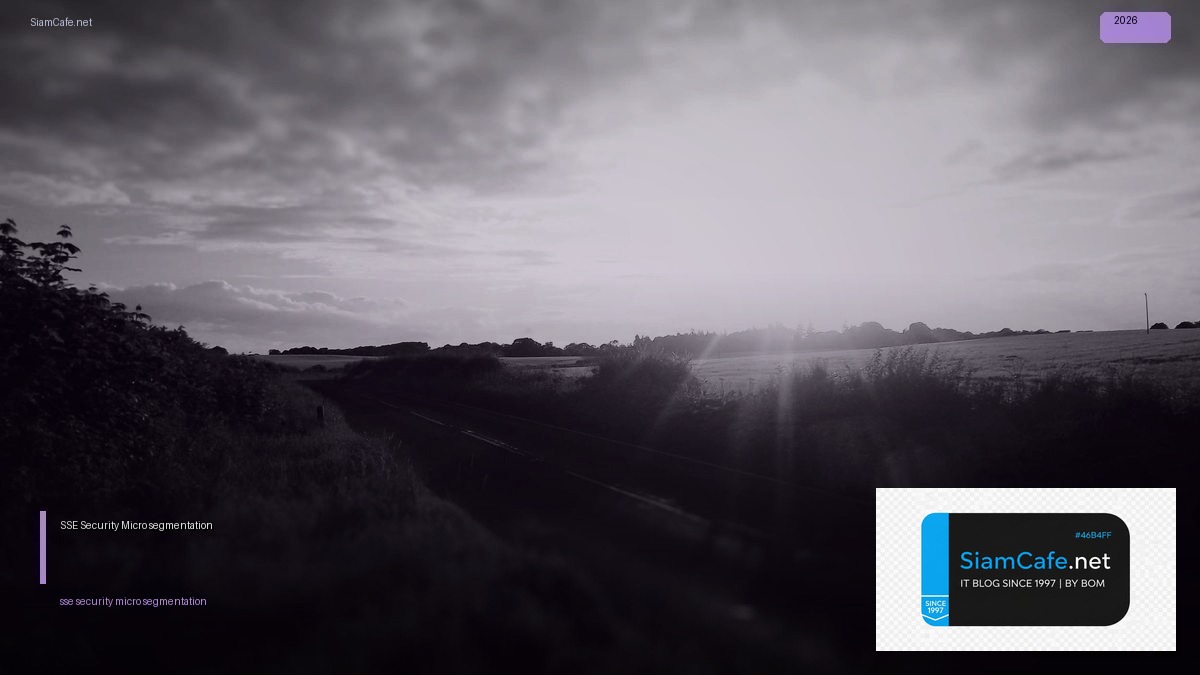 SSE Security Micro-segmentation | SiamCafe Blog
