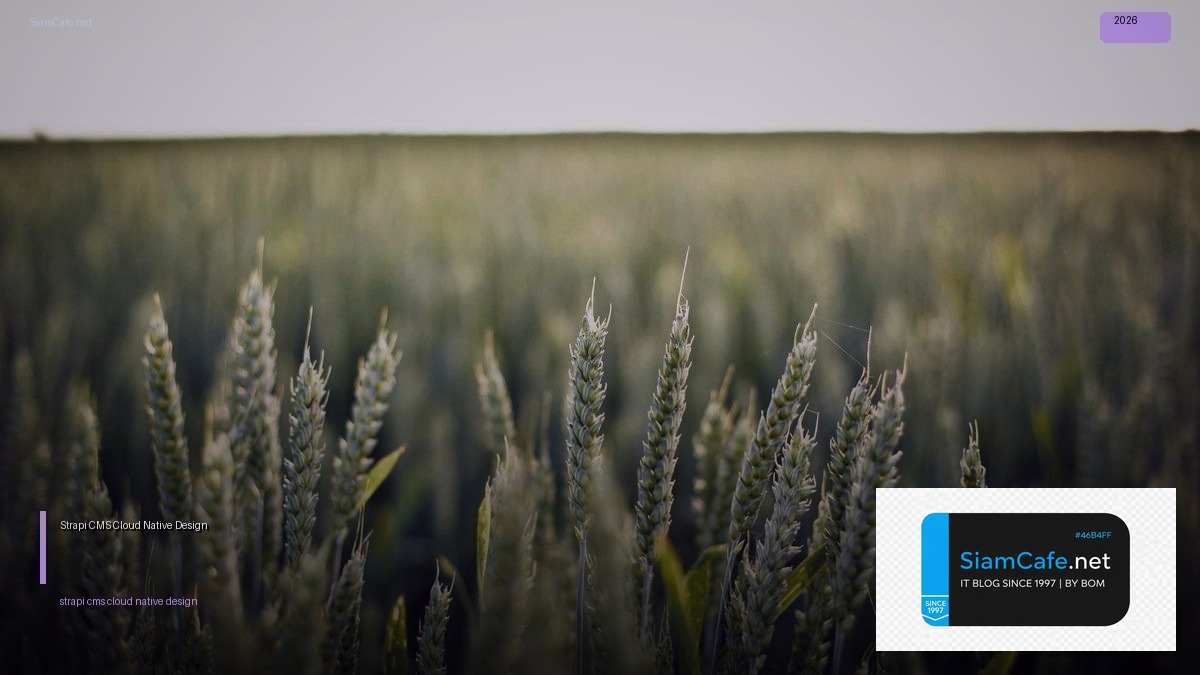 strapi cms cloud native design