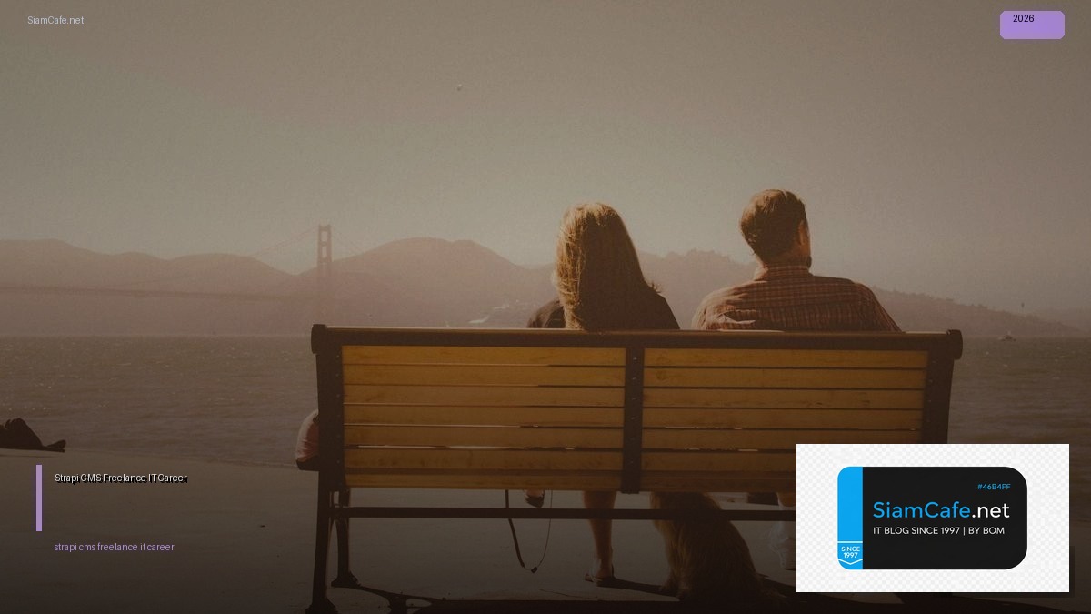 strapi cms freelance it career