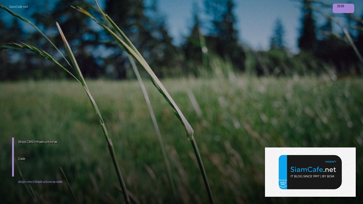 strapi cms infrastructure as code