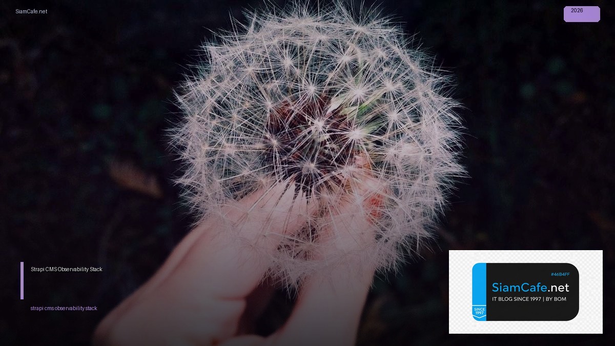 strapi cms observability stack