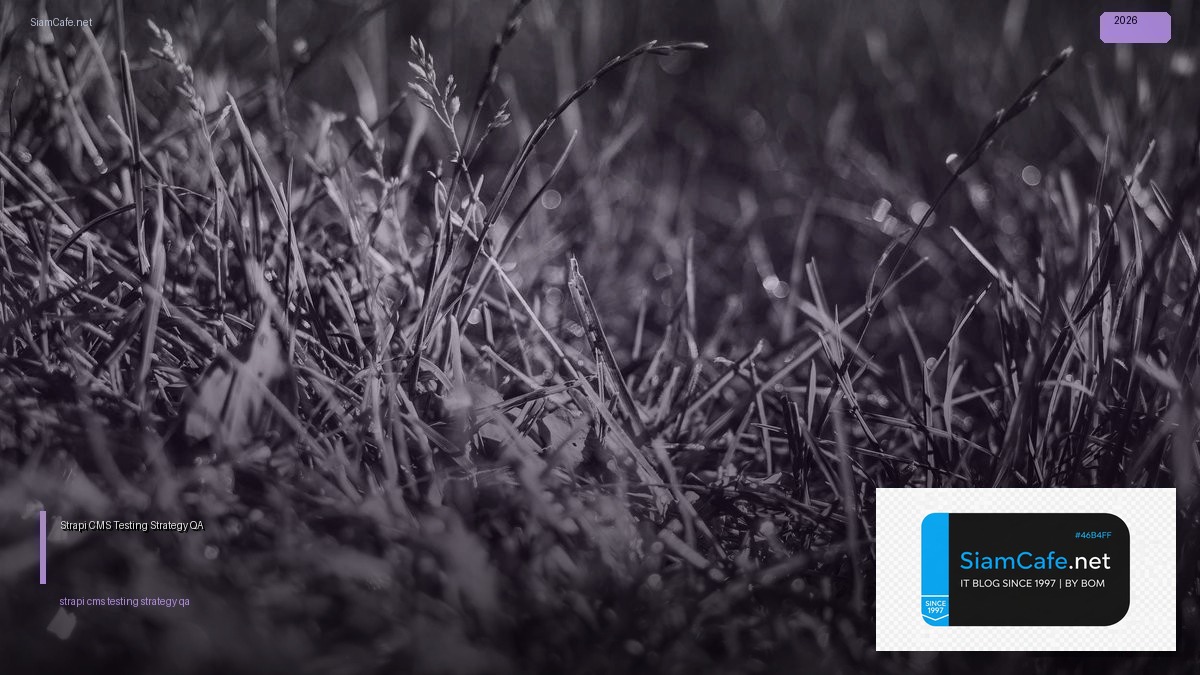 strapi cms testing strategy qa