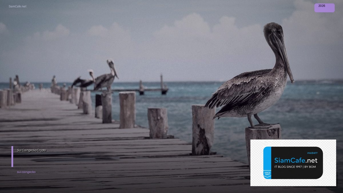 Sui Coingecko — คู่มือ Crypto ฉบับสมบูรณ์ 2026 — คู่มือฉบับสมบูรณ์ 2026 | SiamCafe Blog