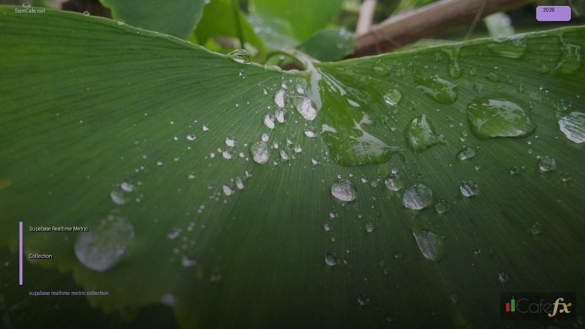 Supabase Realtime Metric Collection | SiamCafe Blog