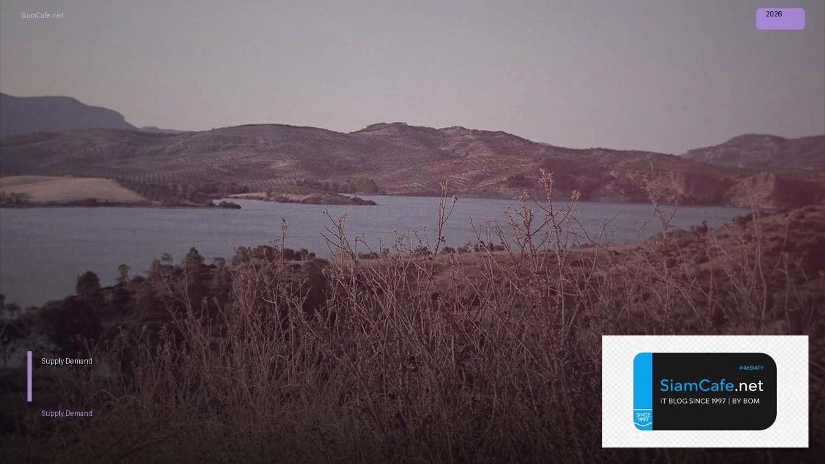 supply demand là gì