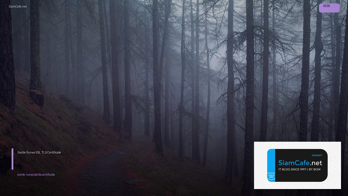 Svelte 5 Runes SSL TLS Certificate — คู่มือฉบับสมบูรณ์ 2026 | SiamCafe Blog