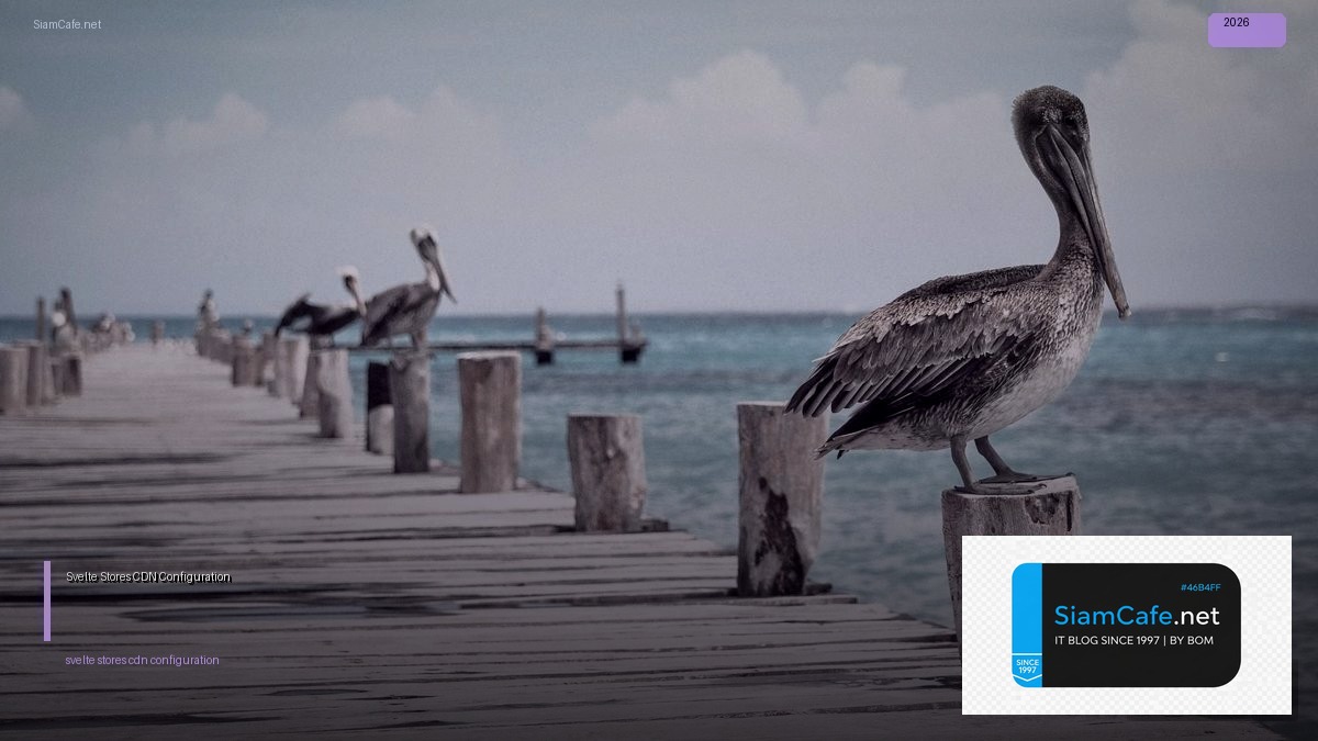 svelte stores cdn configuration