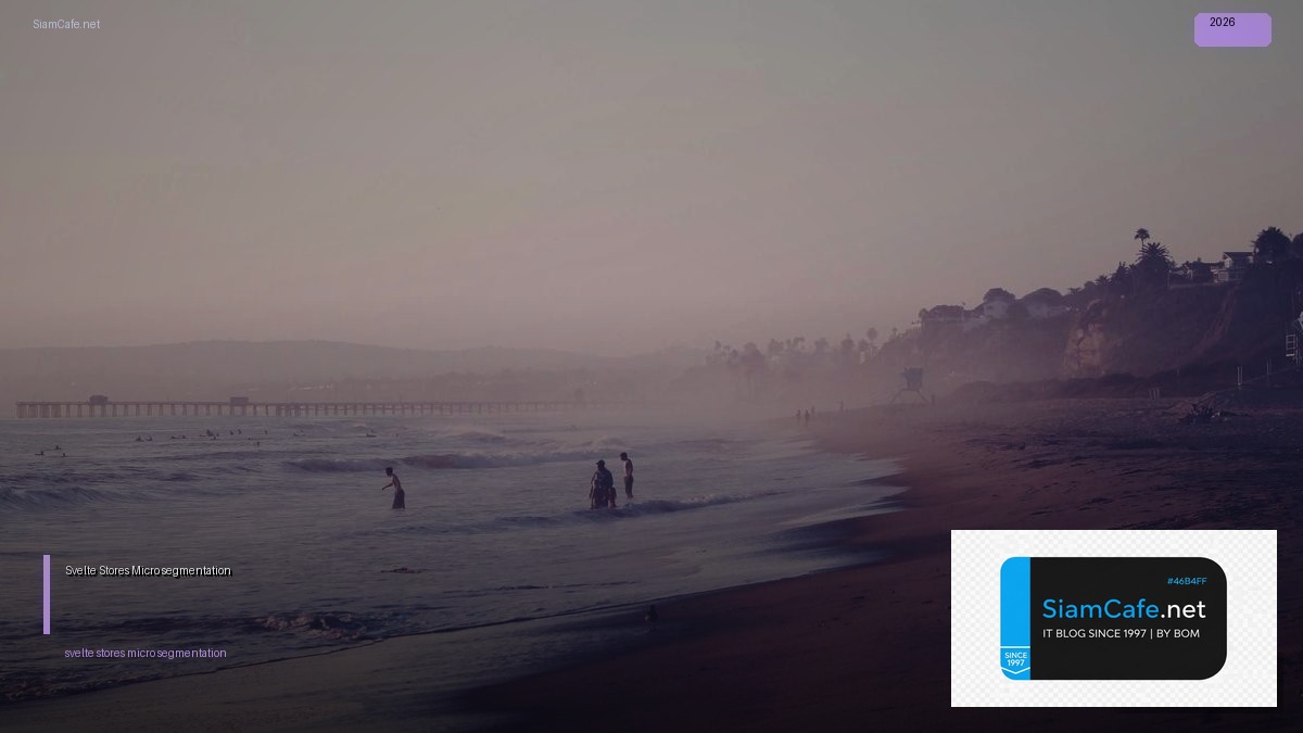 svelte stores micro segmentation