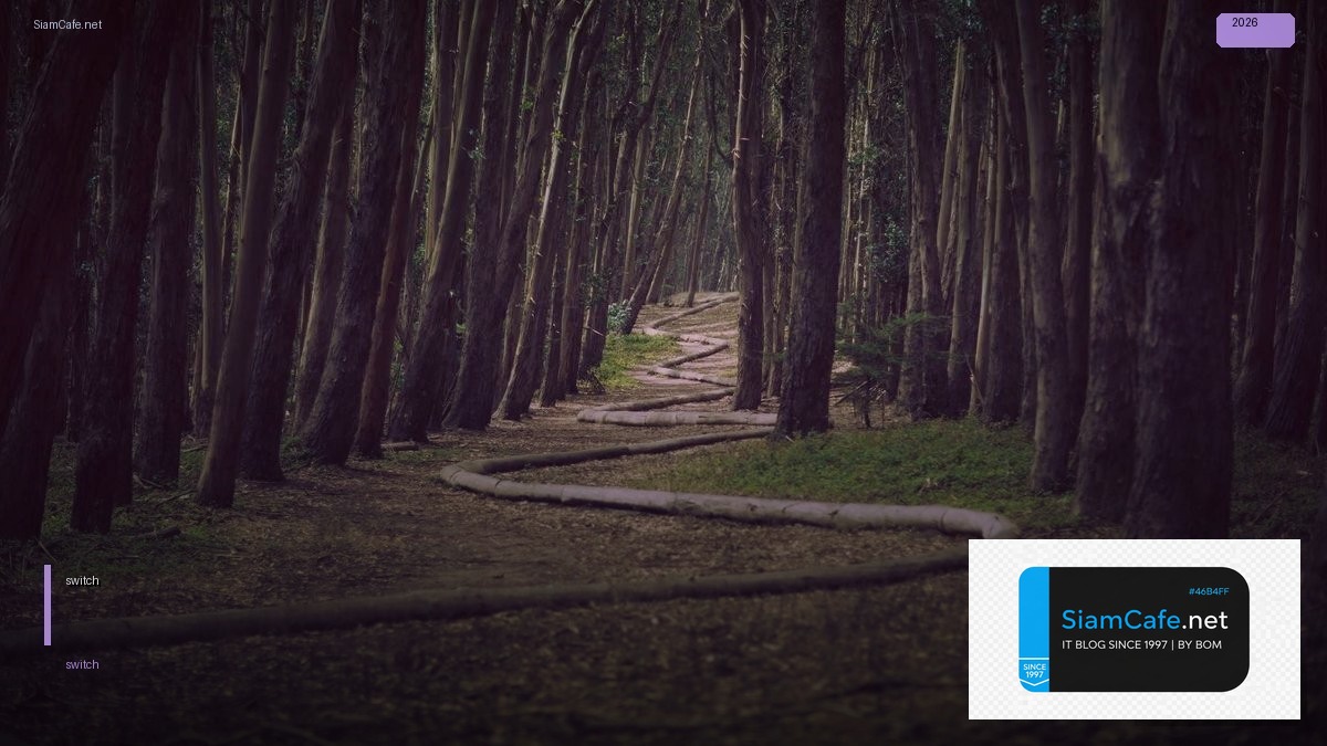 switch คือ อะไร — คู่มือฉบับสมบูรณ์ 2026 | SiamCafe Blog