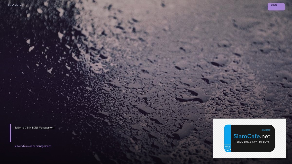 tailwind css v4 dns management