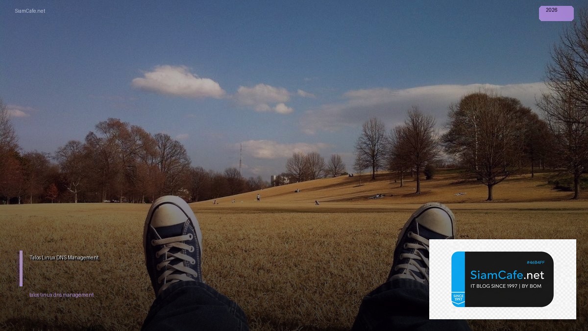 Talos Linux DNS Management — คู่มือฉบับสมบูรณ์ 2026 | SiamCafe Blog