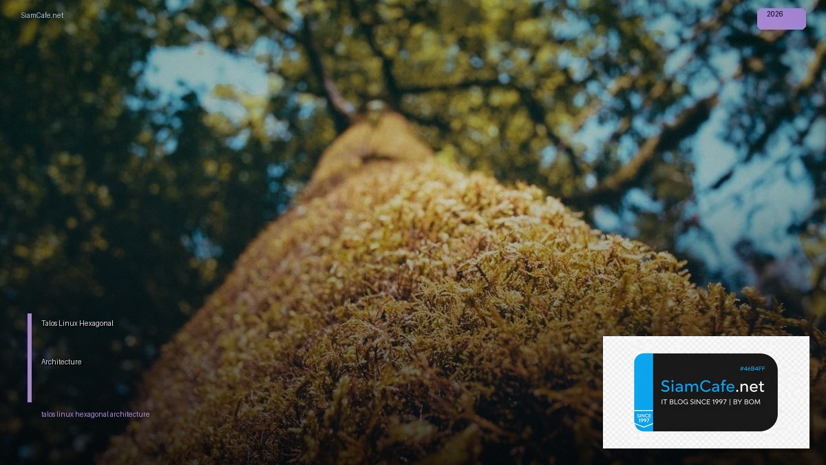 talos linux hexagonal architecture