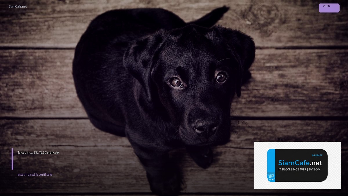 talos linux ssl tls certificate