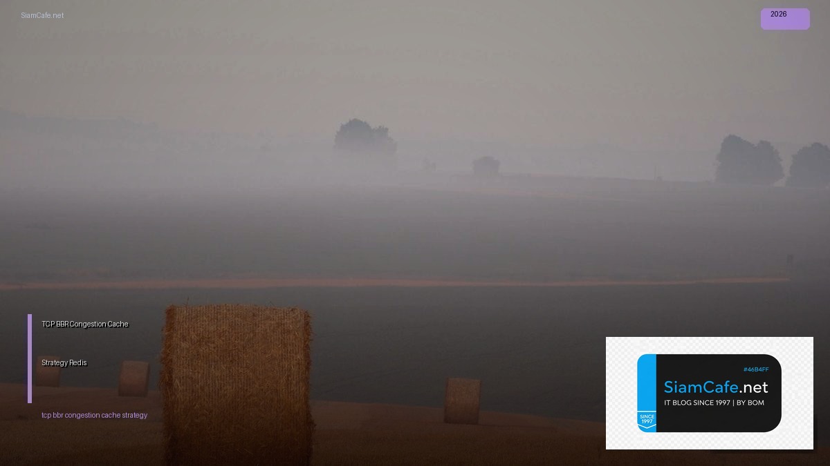 tcp bbr congestion cache strategy redis