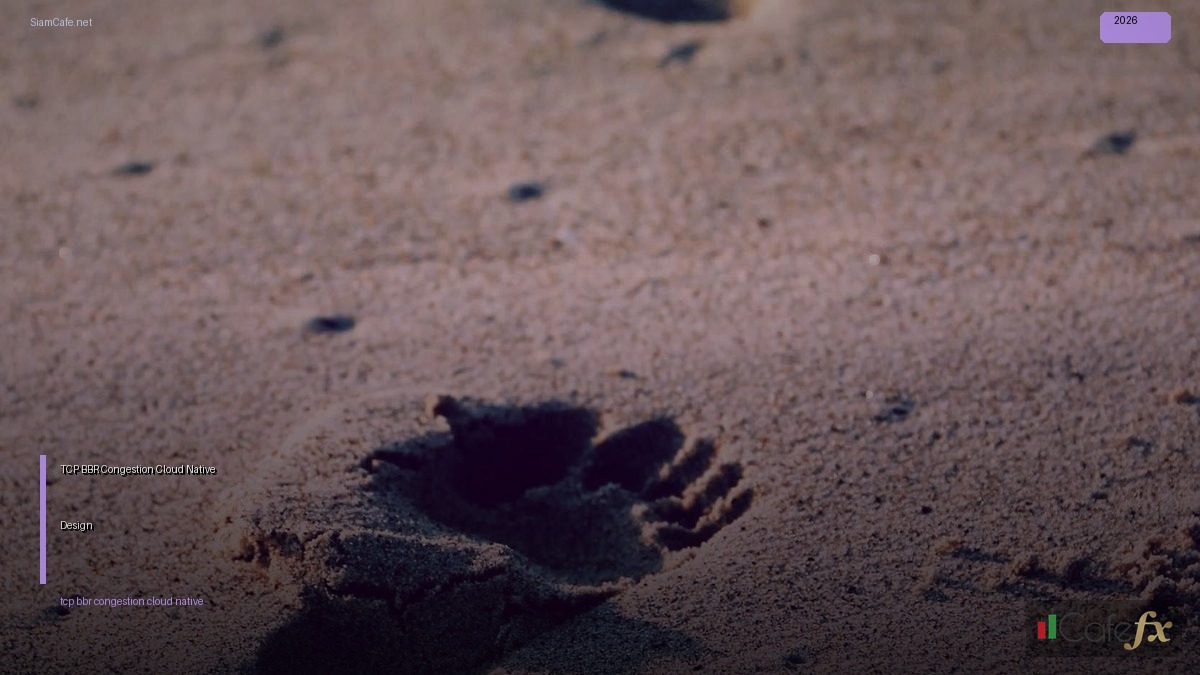 TCP BBR Congestion Cloud Native Design — คู่มือฉบับสมบูรณ์ 2026 | SiamCafe Blog