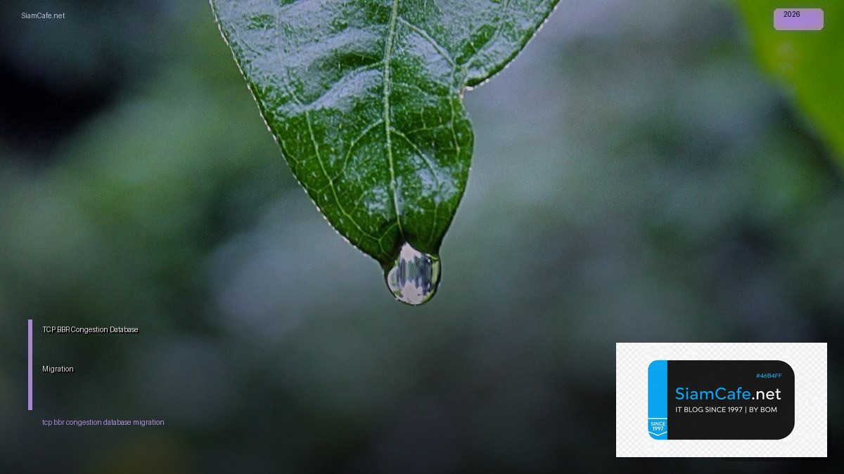 tcp bbr congestion database migration