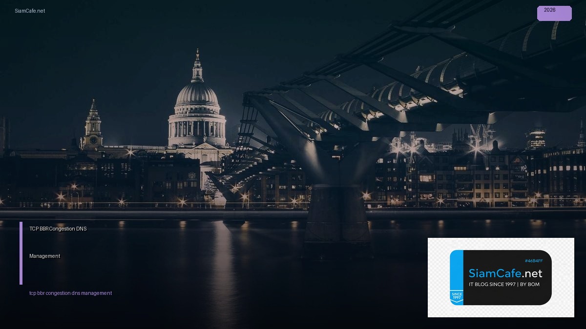 TCP BBR Congestion DNS Management — คู่มือฉบับสมบูรณ์ 2026 | SiamCafe Blog