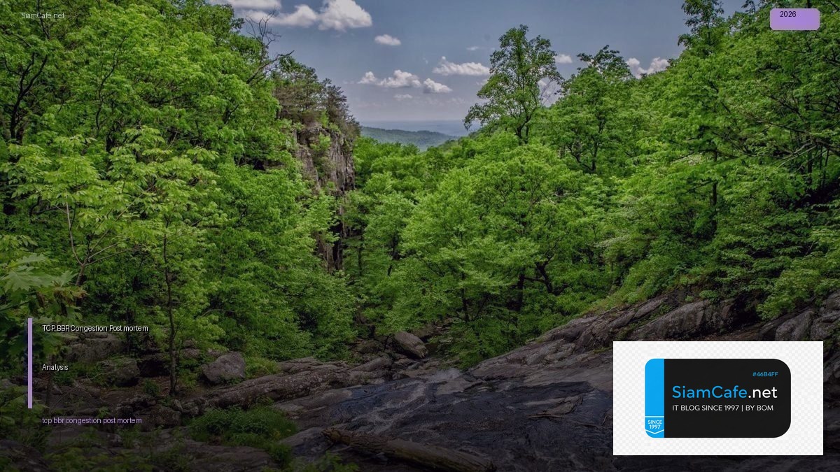 tcp bbr congestion post mortem analysis