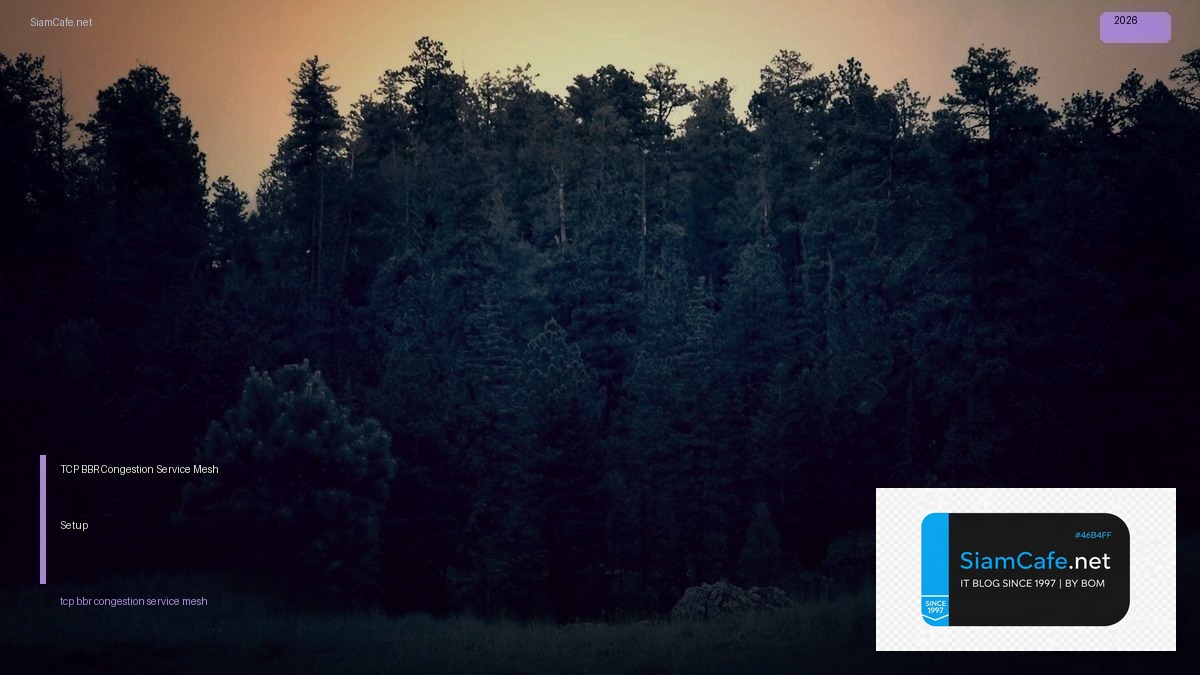 tcp bbr congestion service mesh setup