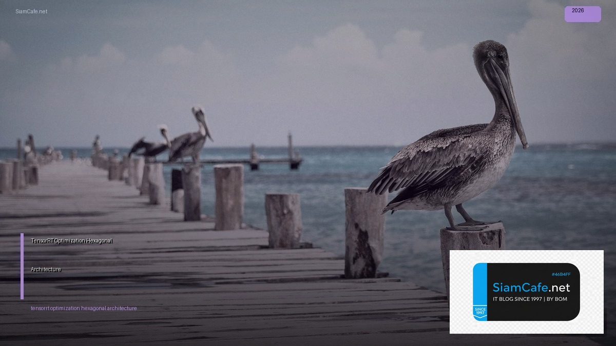 tensorrt optimization hexagonal architecture