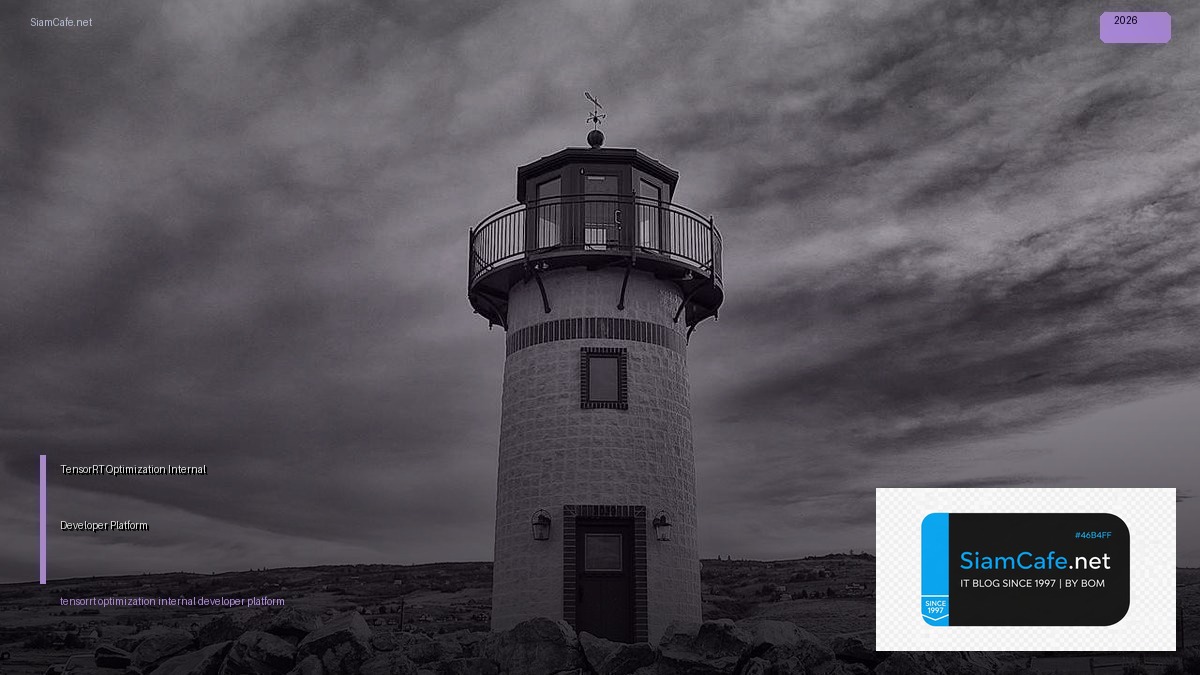 tensorrt optimization internal developer platform