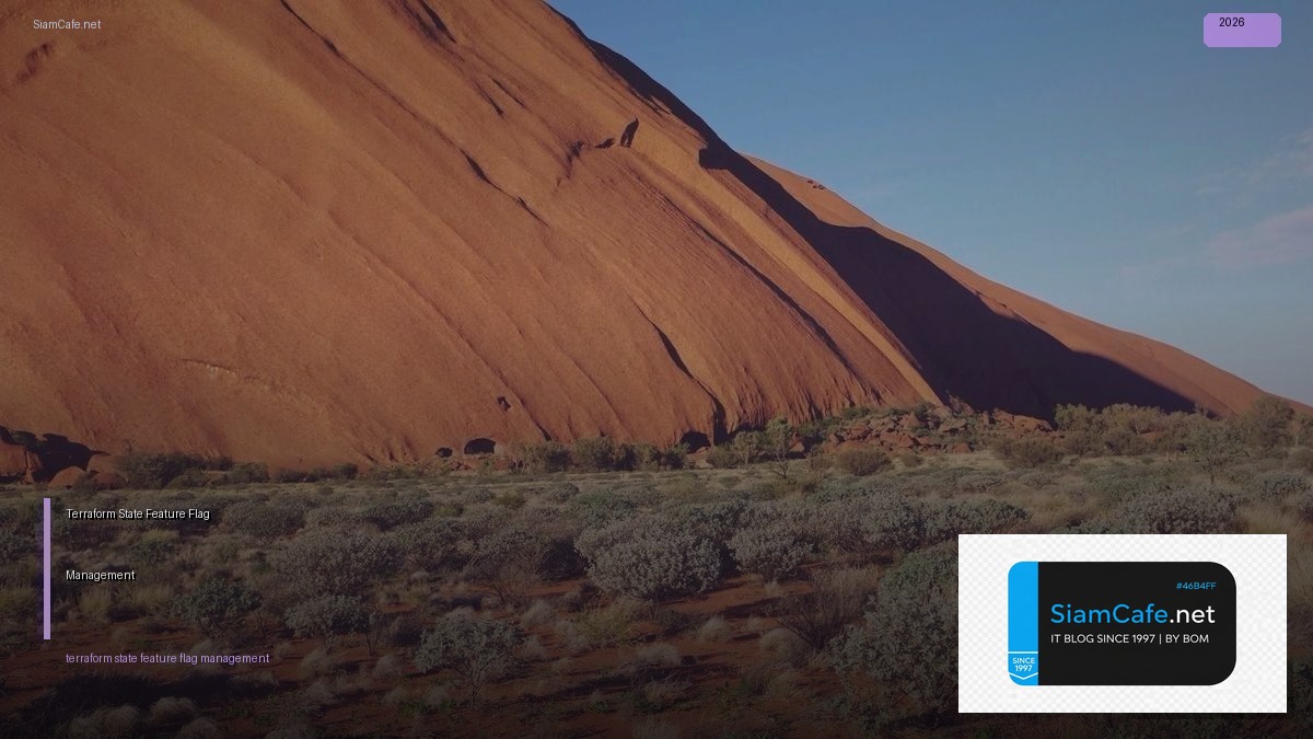 terraform state feature flag management