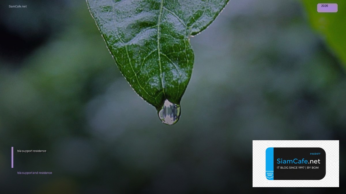 tsla support and resistance | SiamCafe Blog