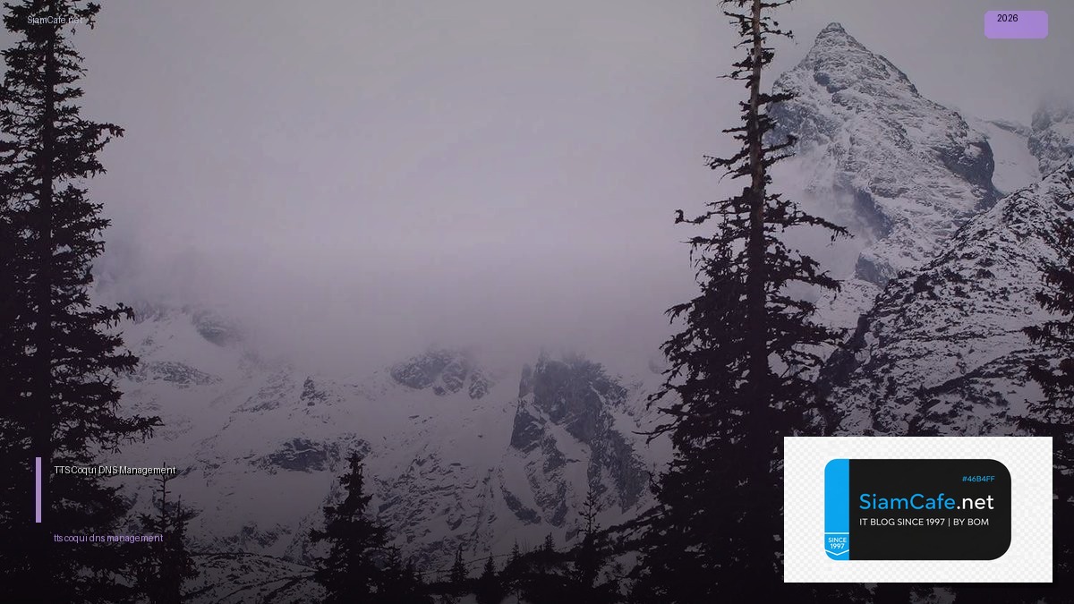 tts coqui dns management