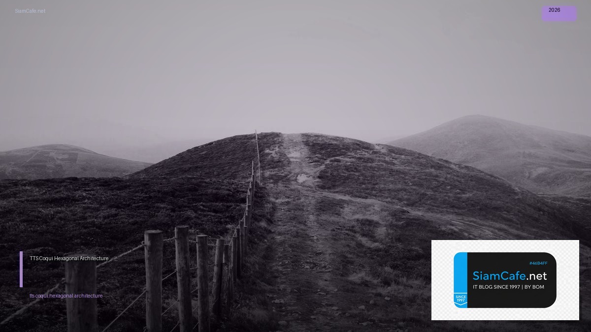 tts coqui hexagonal architecture