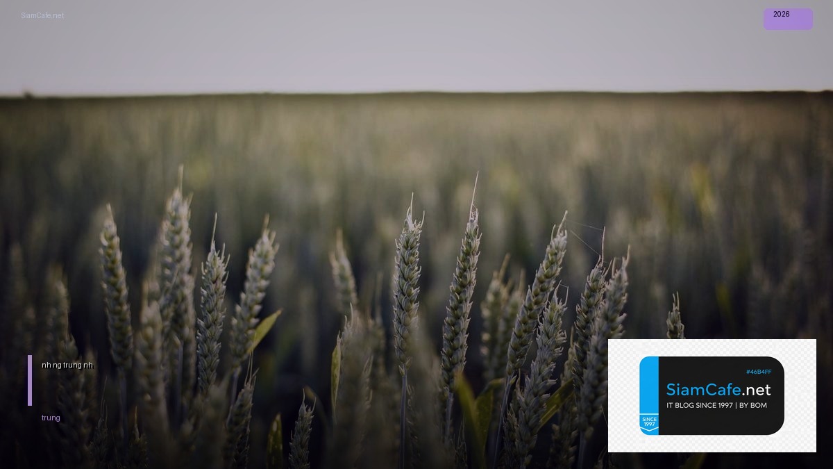 tính đường trung bình