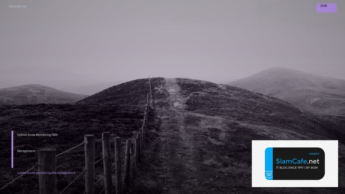 uptime kuma monitoring dns management