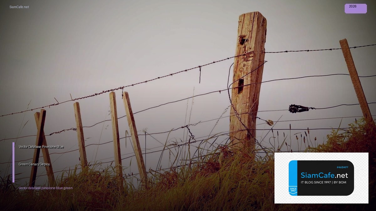 vector database pinecone blue green canary deploy