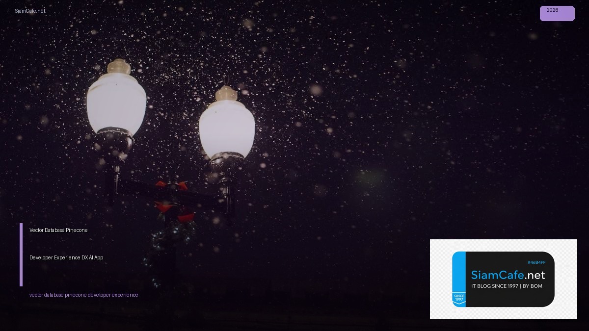 vector database pinecone developer experience dx