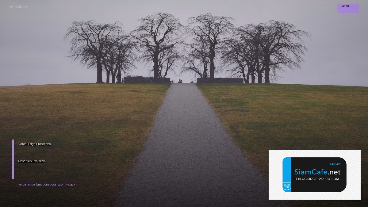 vercel edge functions observability stack