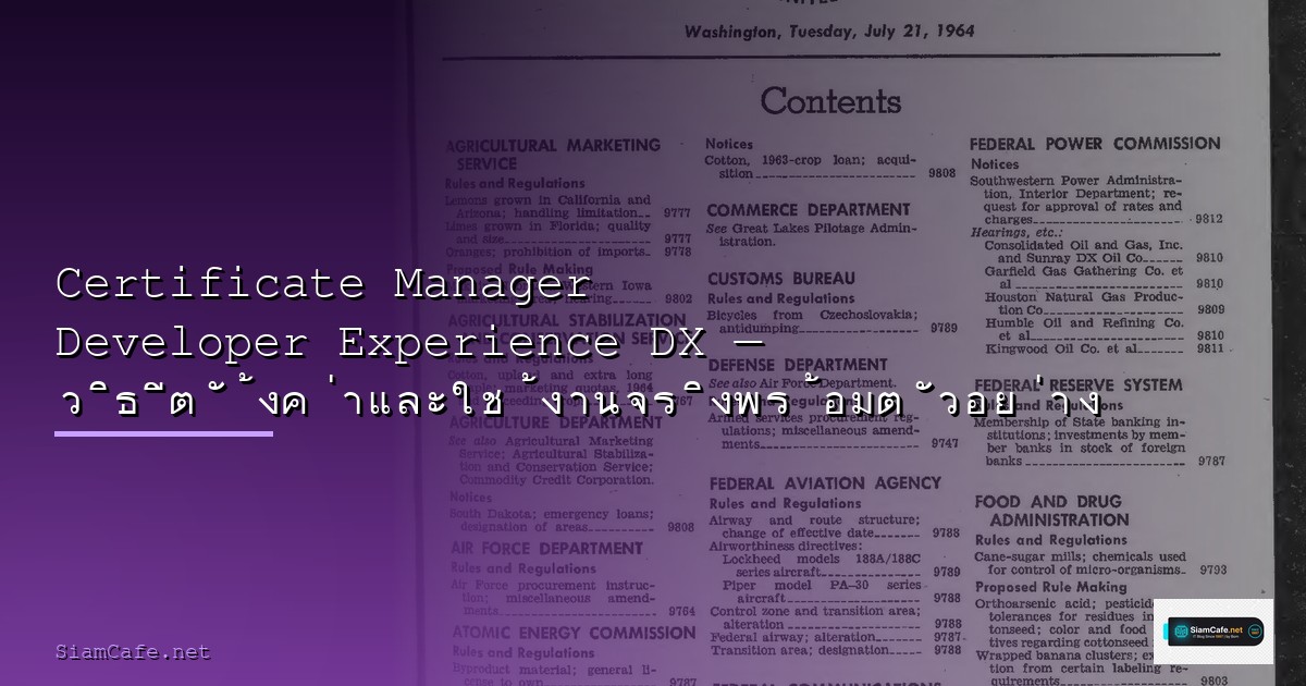 Vue Nuxt Server Developer Experience DX — คู่มือฉบับสมบูรณ์ 2026 | SiamCafe Blog