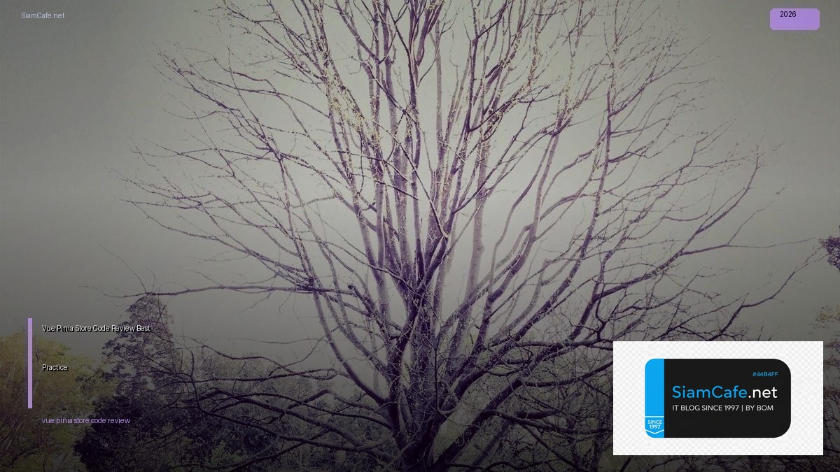 vue pinia store code review best practice