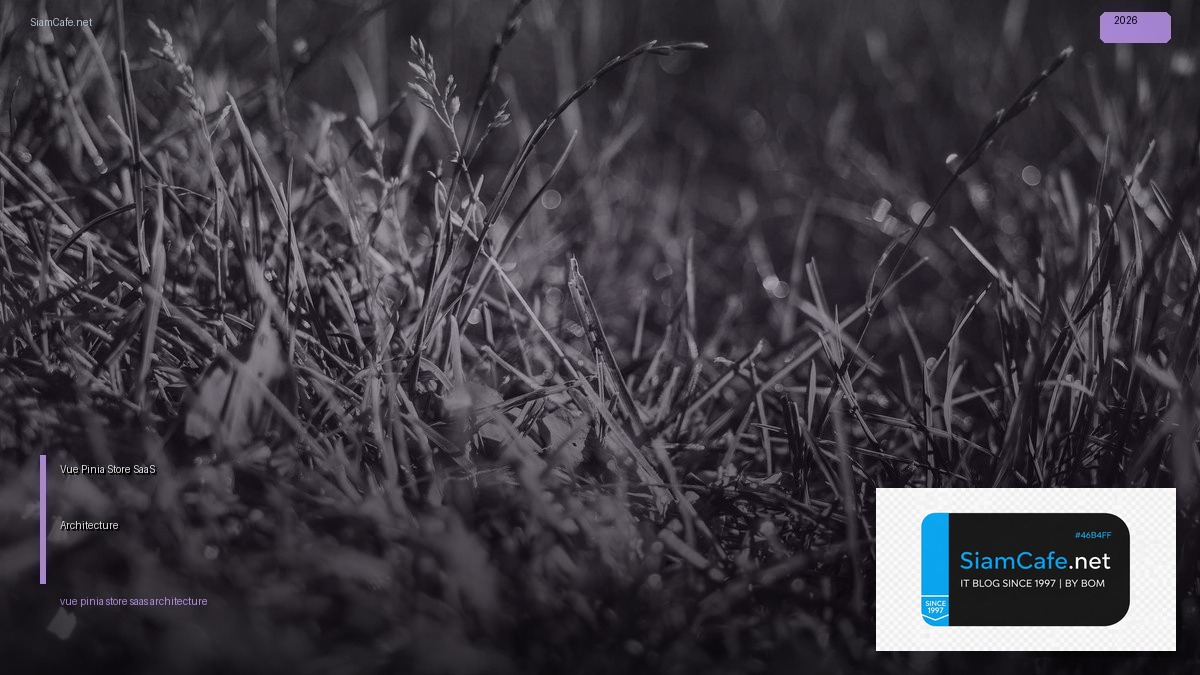 vue pinia store saas architecture