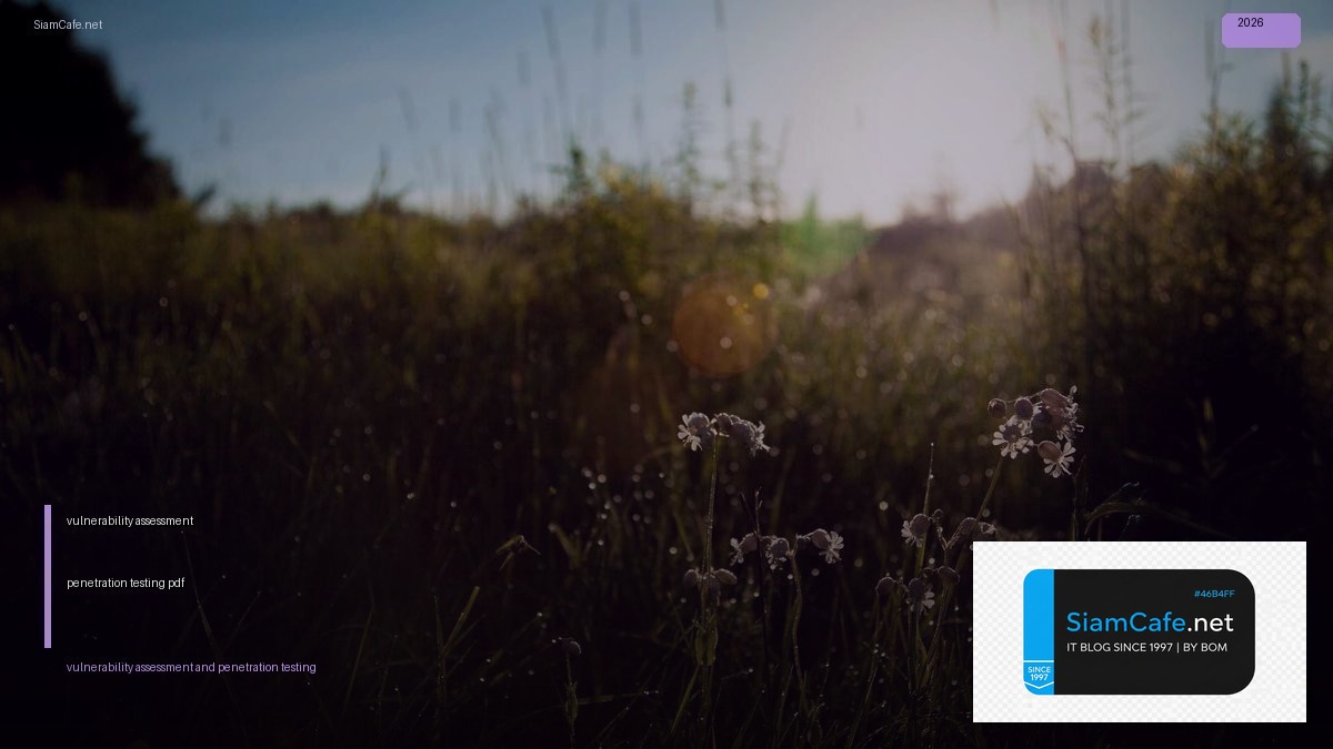 vulnerability assessment and penetration testing pdf