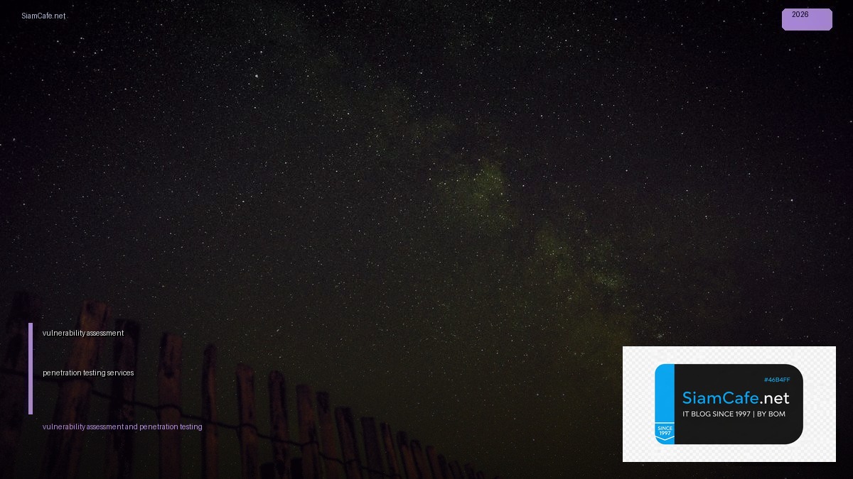 vulnerability assessment and penetration testing services