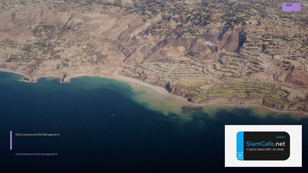 web components dns management