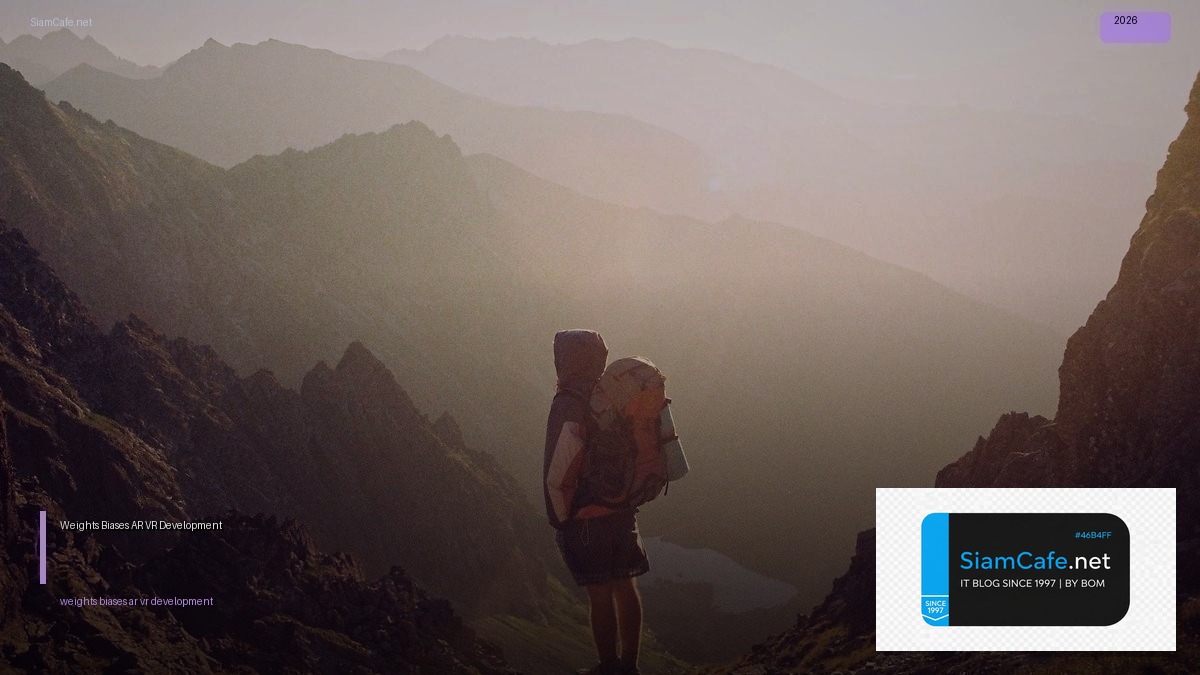 weights biases ar vr development