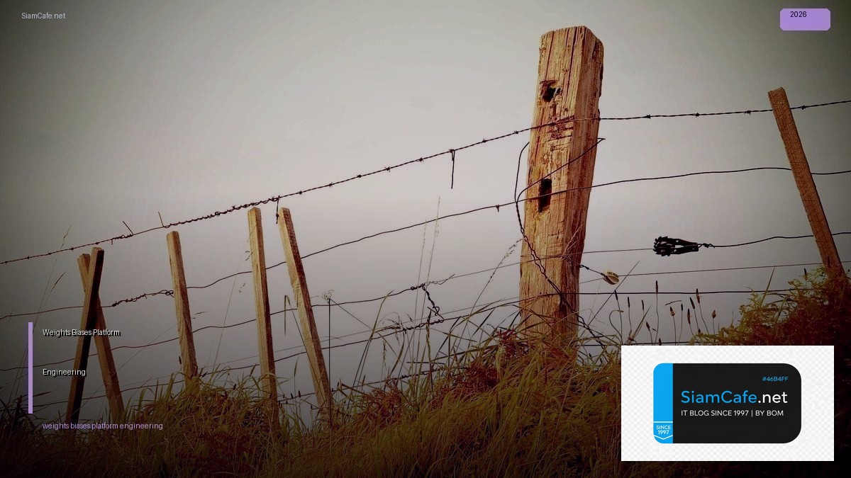 weights biases platform engineering