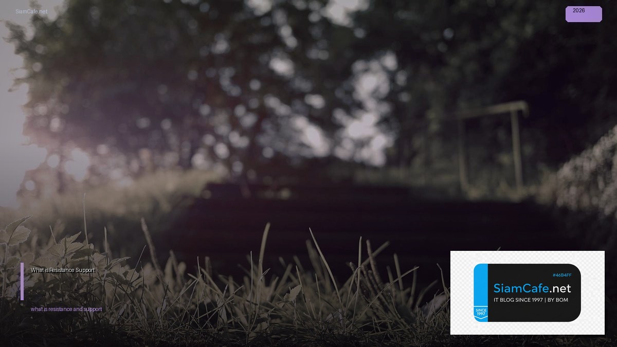 what is resistance and support